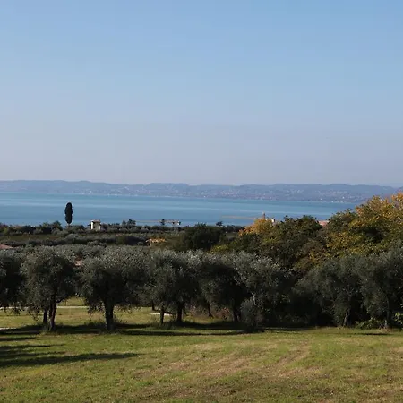 Vignol 2 Μπαρντολίνο